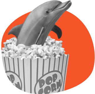 як створювати wow-ефекти на уроках