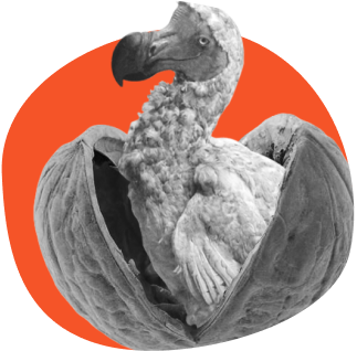 як повторювати та закріплювати матеріал